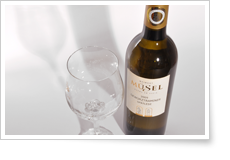 Die Weine im Weingut Müsel